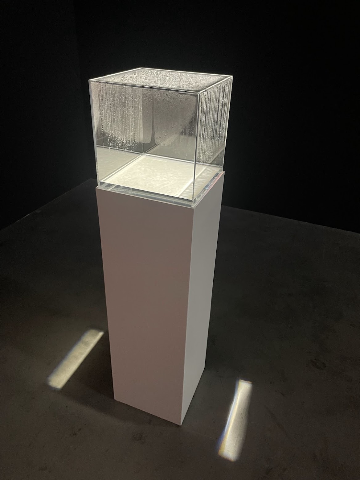 top exhibitions Autumn 2025